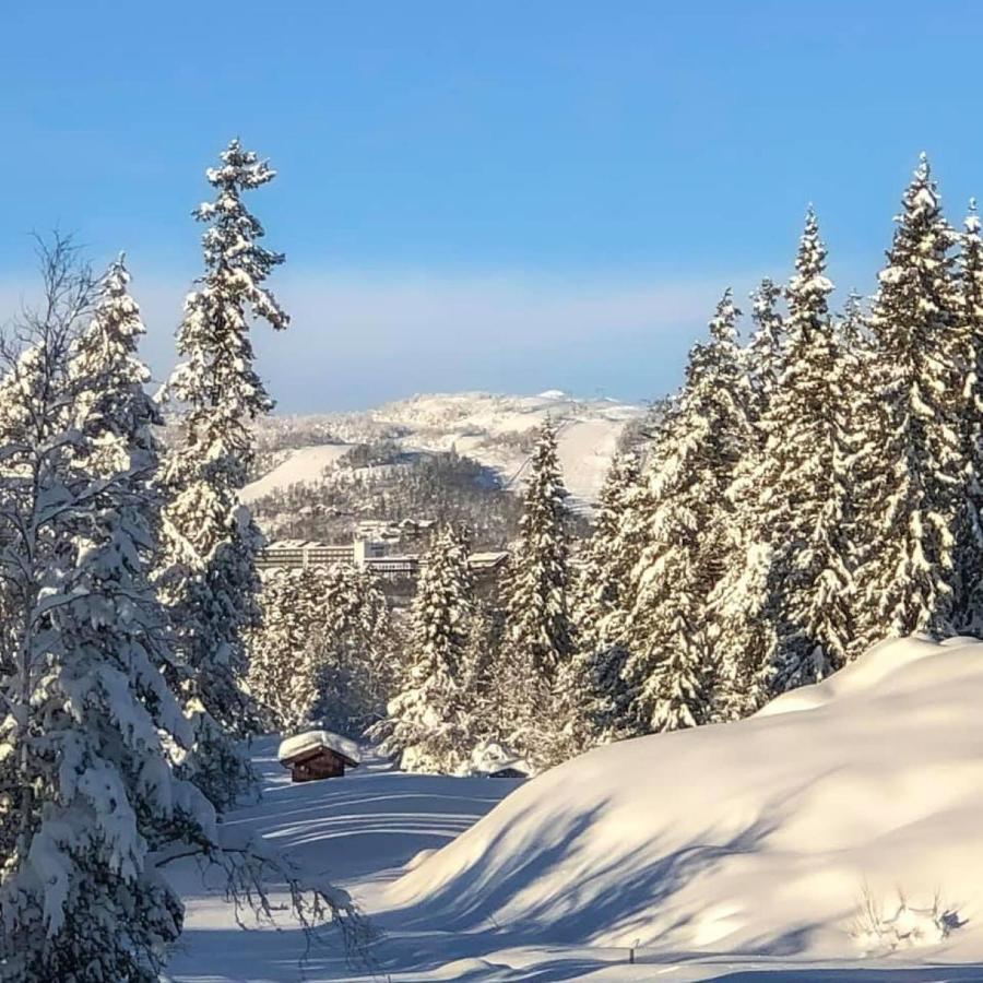 Leilighet Beitostolen Sentrum, Terrasse Og Innendors Parkering Exterior foto